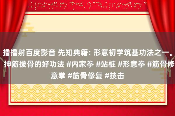 撸撸射百度影音 先知典籍: 形意初学筑基功法之一。探海桩， 抻筋拔骨的好功法 #内家拳 #站桩 #形意拳 #筋骨修复 #技击