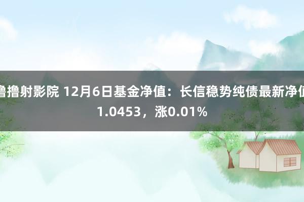 撸撸射影院 12月6日基金净值：长信稳势纯债最新净值1.0453，涨0.01%