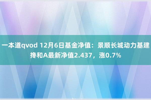 一本道qvod 12月6日基金净值：景顺长城动力基建搀和A最新净值2.437，涨0.7%