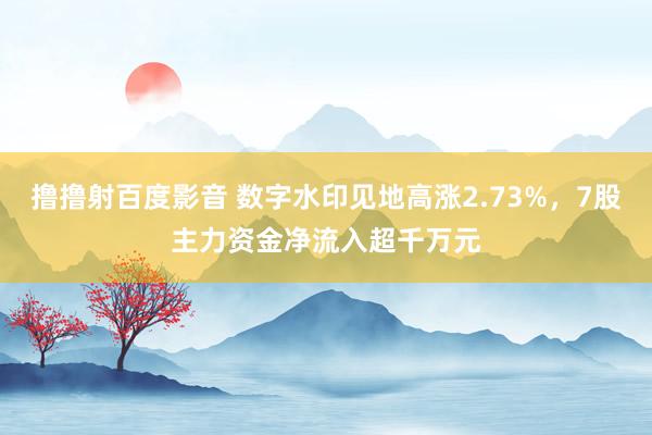 撸撸射百度影音 数字水印见地高涨2.73%，7股主力资金净流入超千万元