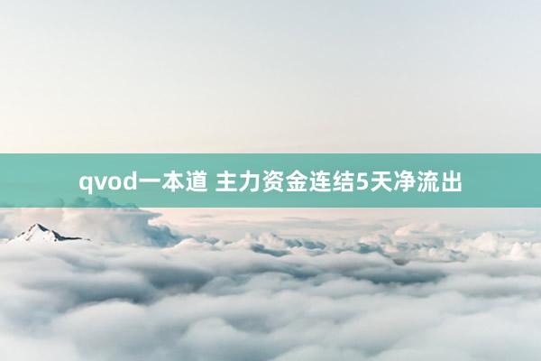 qvod一本道 主力资金连结5天净流出