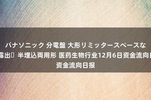 パナソニック 分電盤 大形リミッタースペースなし 露出・半埋込両用形 医药生物行业12月6日资金流向日报