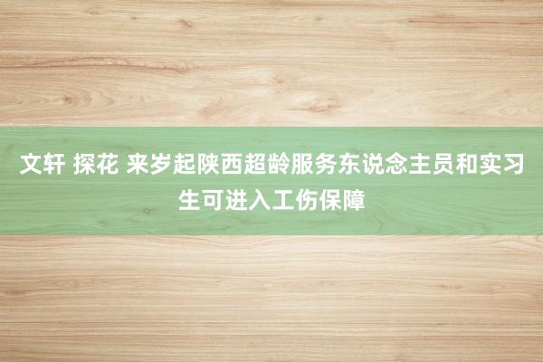 文轩 探花 来岁起陕西超龄服务东说念主员和实习生可进入工伤保障