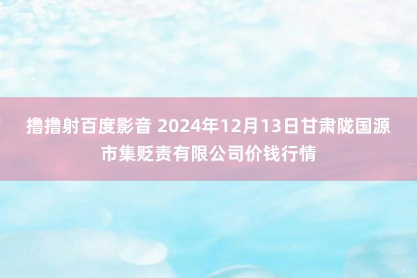 撸撸射百度影音 2024年12月13日甘肃陇国源市集贬责有限公司价钱行情