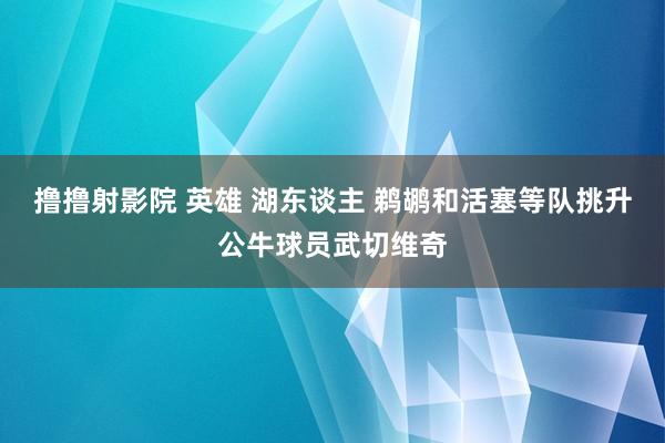 撸撸射影院 英雄 湖东谈主 鹈鹕和活塞等队挑升公牛球员武切维奇