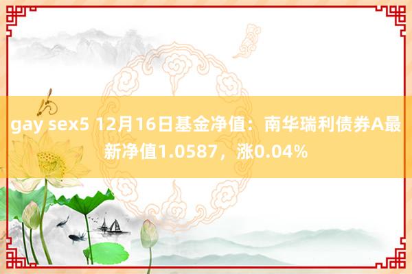 gay sex5 12月16日基金净值：南华瑞利债券A最新净值1.0587，涨0.04%