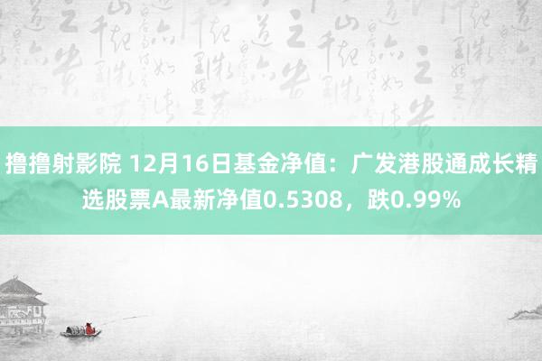 撸撸射影院 12月16日基金净值：广发港股通成长精选股票A最新净值0.5308，跌0.99%