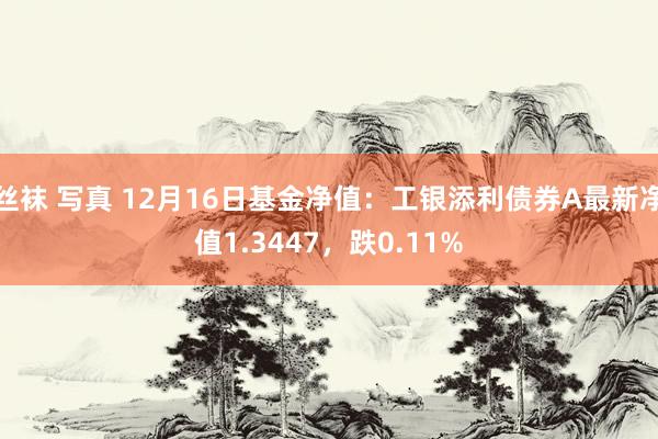 丝袜 写真 12月16日基金净值：工银添利债券A最新净值1.3447，跌0.11%