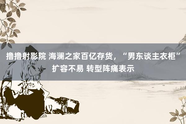 撸撸射影院 海澜之家百亿存货，“男东谈主衣柜”扩容不易 转型阵痛表示