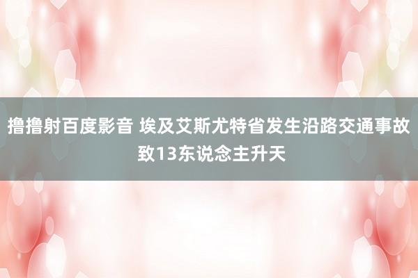 撸撸射百度影音 埃及艾斯尤特省发生沿路交通事故 致13东说念主升天