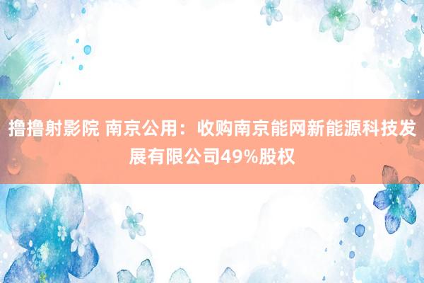 撸撸射影院 南京公用：收购南京能网新能源科技发展有限公司49%股权