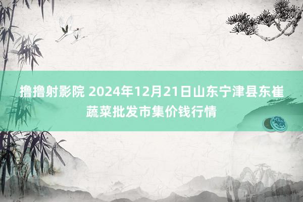 撸撸射影院 2024年12月21日山东宁津县东崔蔬菜批发市集价钱行情