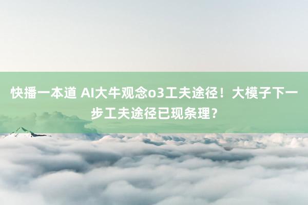 快播一本道 AI大牛观念o3工夫途径！大模子下一步工夫途径已现条理？