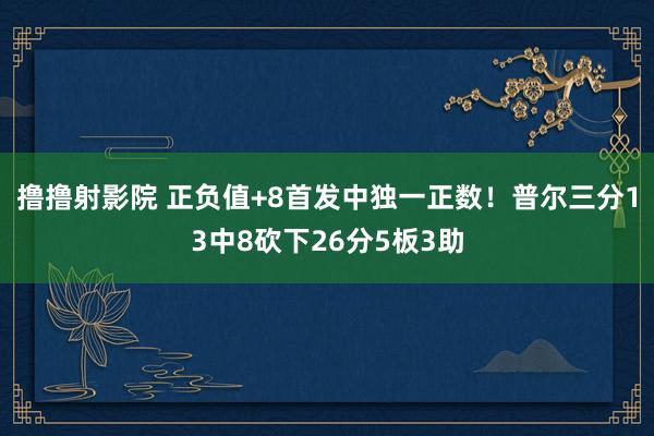 撸撸射影院 正负值+8首发中独一正数！普尔三分13中8砍下26分5板3助