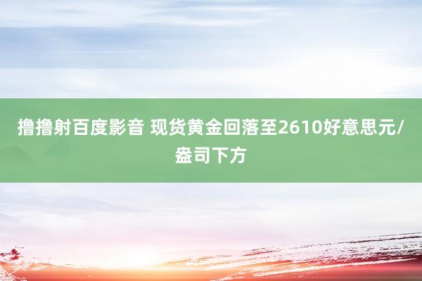 撸撸射百度影音 现货黄金回落至2610好意思元/盎司下方