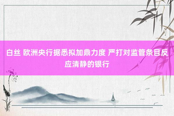 白丝 欧洲央行据悉拟加鼎力度 严打对监管条目反应清静的银行