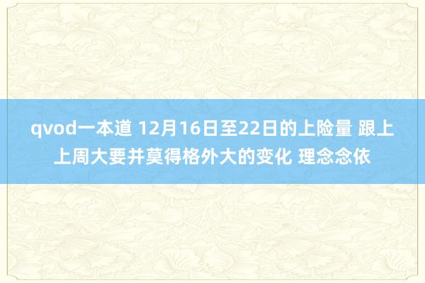 qvod一本道 12月16日至22日的上险量 跟上上周大要并莫得格外大的变化 理念念依