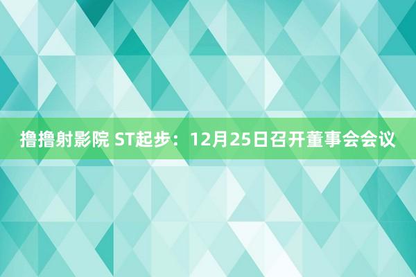 撸撸射影院 ST起步：12月25日召开董事会会议