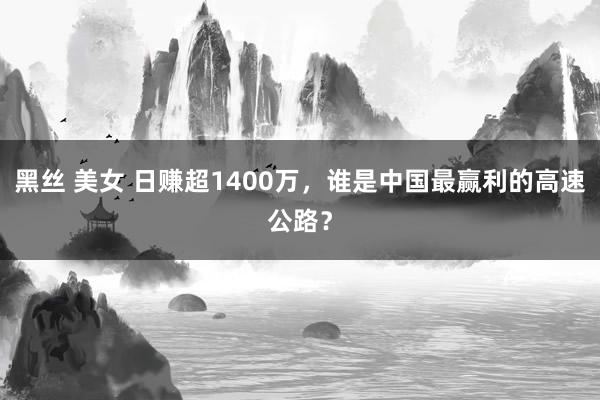 黑丝 美女 日赚超1400万，谁是中国最赢利的高速公路？