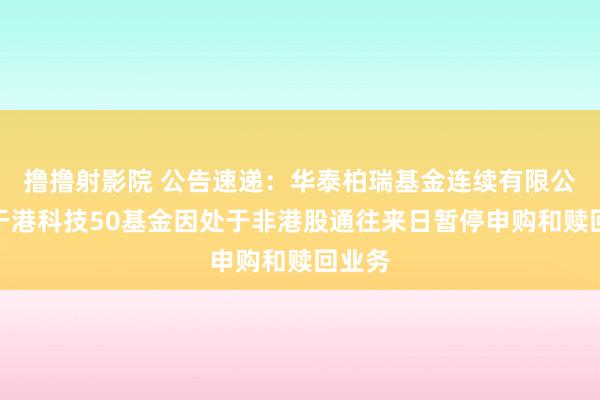 撸撸射影院 公告速递：华泰柏瑞基金连续有限公司对于港科技50基金因处于非港股通往来日暂停申购和赎回业务