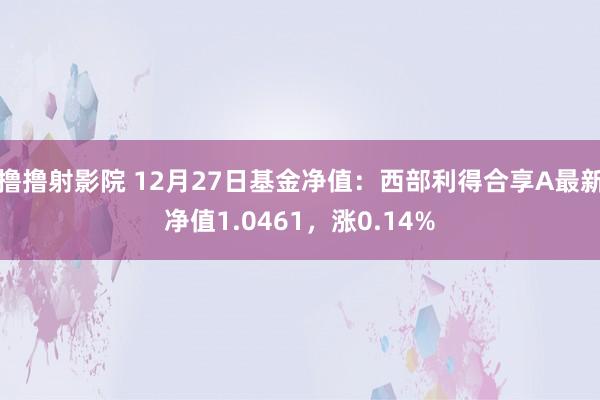 撸撸射影院 12月27日基金净值：西部利得合享A最新净值1.0461，涨0.14%