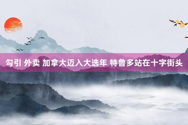 勾引 外卖 加拿大迈入大选年 特鲁多站在十字街头