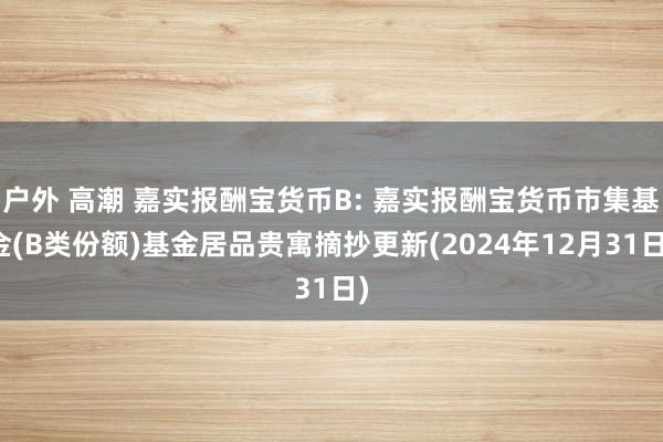 户外 高潮 嘉实报酬宝货币B: 嘉实报酬宝货币市集基金(B类份额)基金居品贵寓摘抄更新(2024年12月31日)