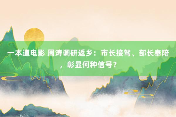 一本道电影 周涛调研返乡：市长接驾、部长奉陪，彰显何种信号？