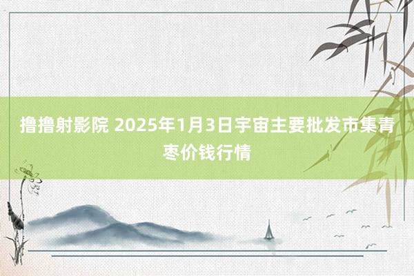 撸撸射影院 2025年1月3日宇宙主要批发市集青枣价钱行情