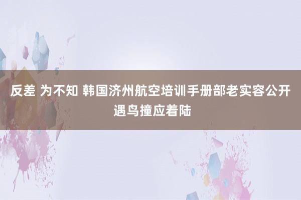 反差 为不知 韩国济州航空培训手册部老实容公开 遇鸟撞应着陆