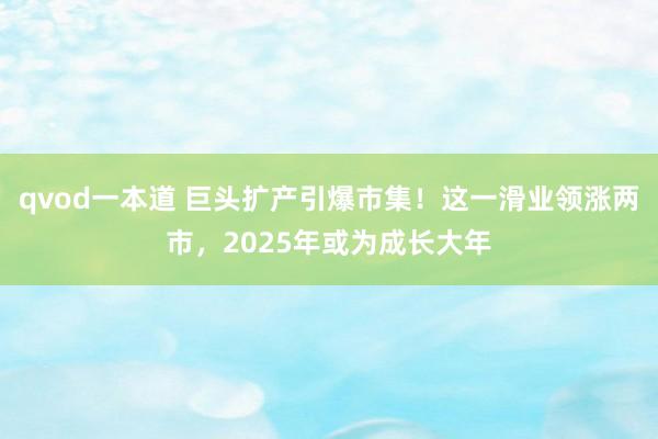 qvod一本道 巨头扩产引爆市集！这一滑业领涨两市，2025年或为成长大年