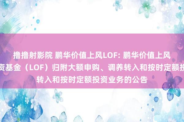 撸撸射影院 鹏华价值上风LOF: 鹏华价值上风搀杂型证券投资基金（LOF）归附大额申购、调养转入和按时定额投资业务的公告