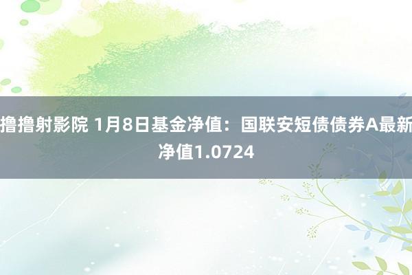 撸撸射影院 1月8日基金净值：国联安短债债券A最新净值1.0724