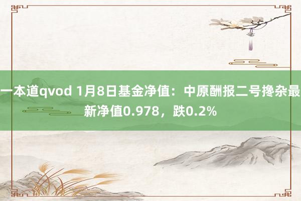 一本道qvod 1月8日基金净值：中原酬报二号搀杂最新净值0.978，跌0.2%