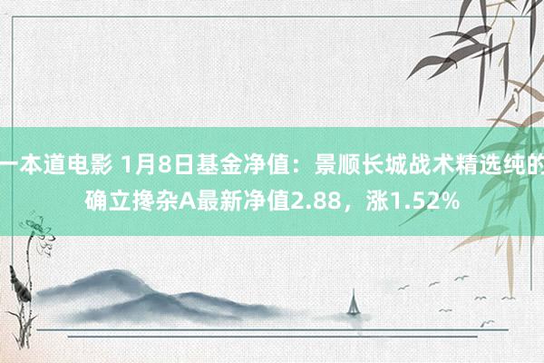 一本道电影 1月8日基金净值：景顺长城战术精选纯的确立搀杂A最新净值2.88，涨1.52%