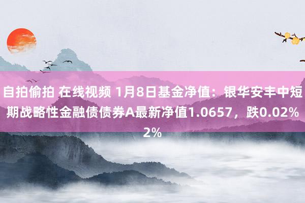 自拍偷拍 在线视频 1月8日基金净值：银华安丰中短期战略性金融债债券A最新净值1.0657，跌0.02%