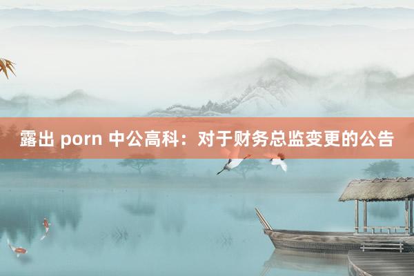 露出 porn 中公高科：对于财务总监变更的公告