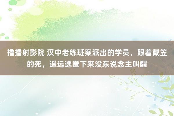 撸撸射影院 汉中老练班案派出的学员，跟着戴笠的死，遥远逃匿下来没东说念主叫醒