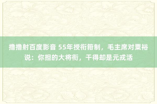 撸撸射百度影音 55年授衔箝制，毛主席对粟裕说：你担的大将衔，干得却是元戎活