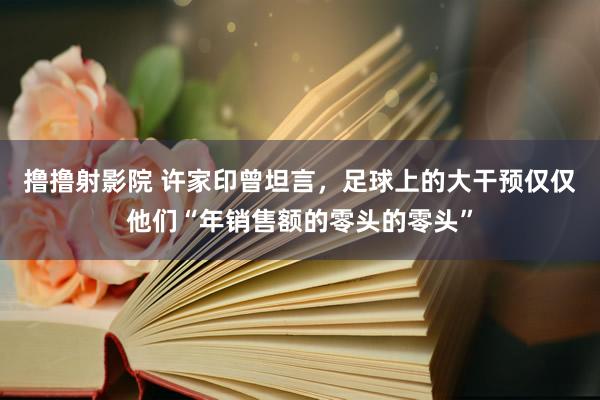 撸撸射影院 许家印曾坦言，足球上的大干预仅仅他们“年销售额的零头的零头”