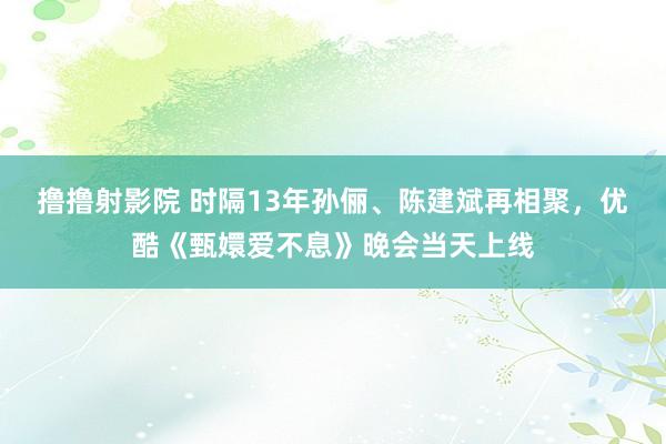 撸撸射影院 时隔13年孙俪、陈建斌再相聚，优酷《甄嬛爱不息》晚会当天上线