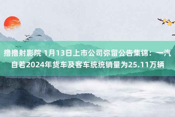 撸撸射影院 1月13日上市公司弥留公告集锦：一汽自若2024年货车及客车统统销量为25.11万辆