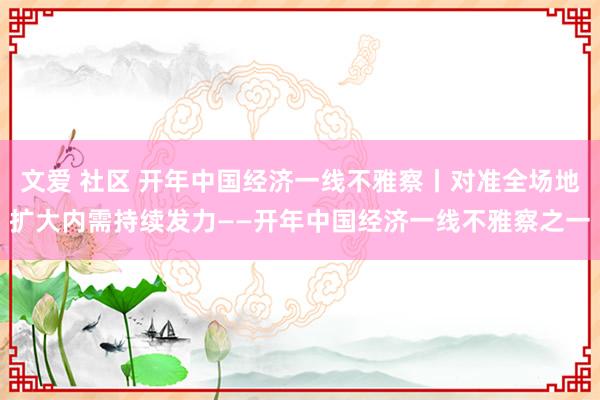 文爱 社区 开年中国经济一线不雅察丨对准全场地扩大内需持续发力——开年中国经济一线不雅察之一