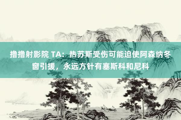 撸撸射影院 TA：热苏斯受伤可能迫使阿森纳冬窗引援，永远方针有塞斯科和尼科