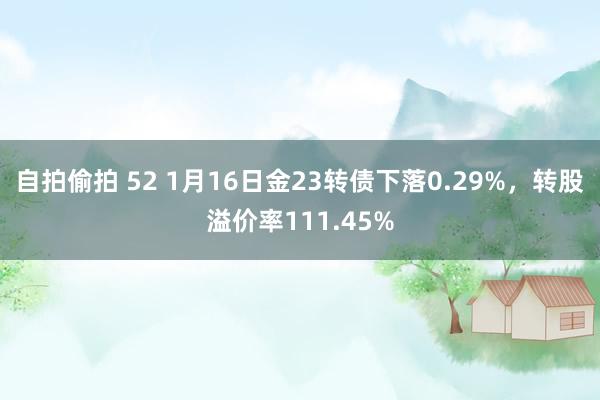 自拍偷拍 52 1月16日金23转债下落0.29%，转股溢价率111.45%